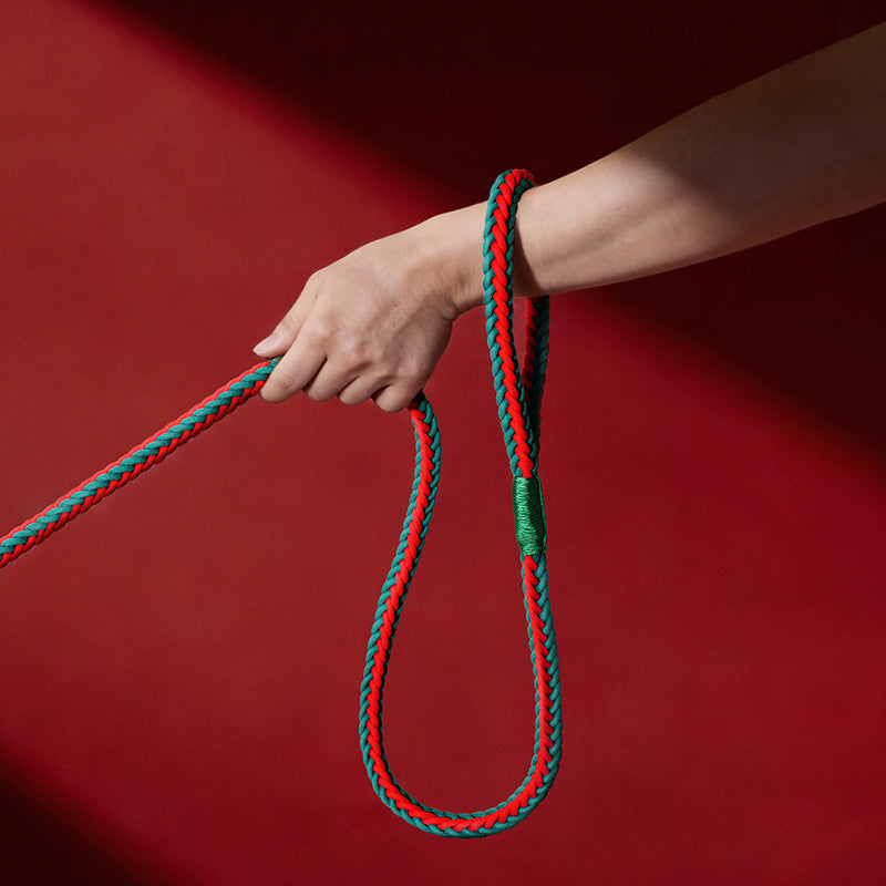 Portugal FPF Pet Woven Leash